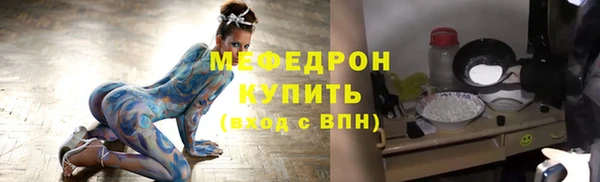 мдпв Инсар