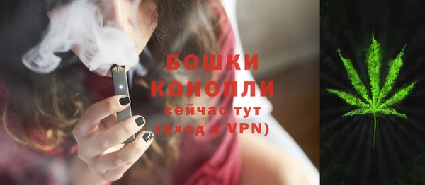 эйфоретик Инта
