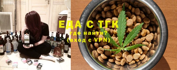 мдпв Инсар