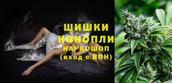 мдпв Инсар