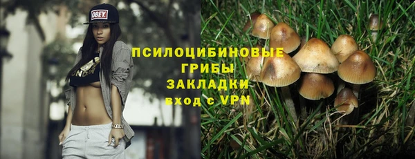 эйфоретик Инта