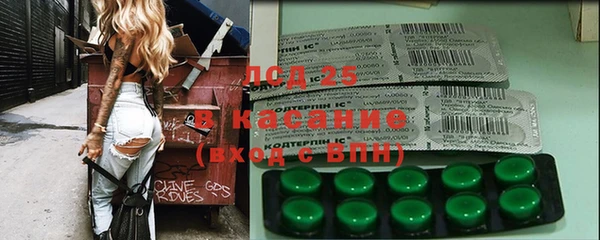 мдпв Инсар
