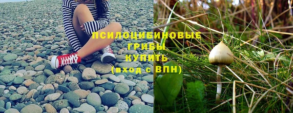 мдпв Инсар