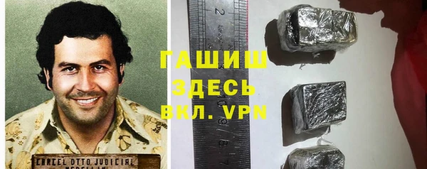 мдпв Инсар