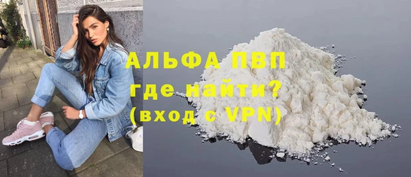 мдпв Инсар